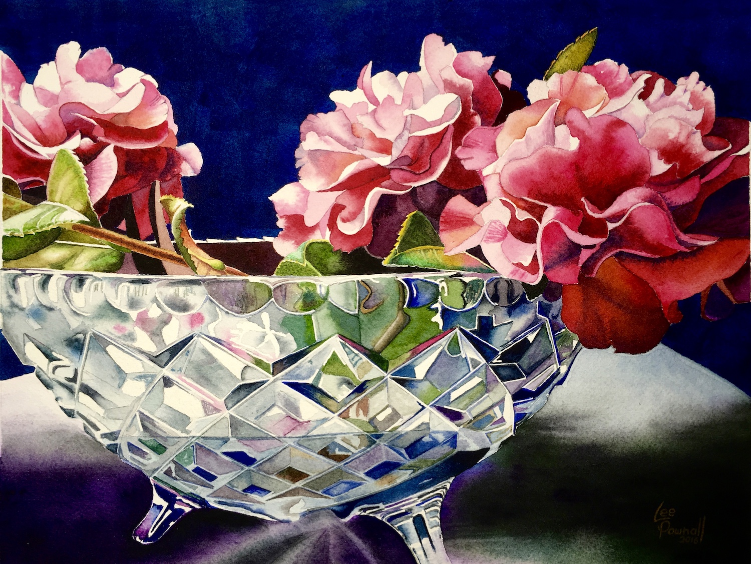 Watercolour “Crystal Camelias” 22cm x 28cm